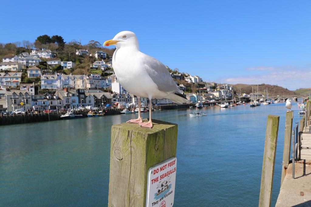 Portbyhan Hotel Looe Exteriör bild